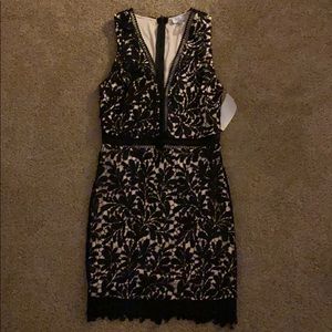 Tobi black lace dress (S, NWT)